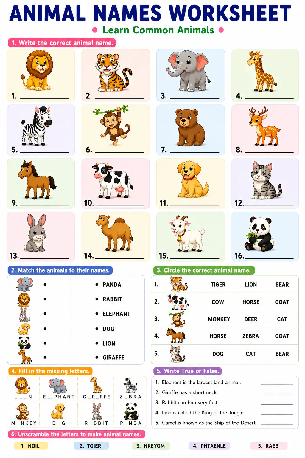 Animal Names Worksheet