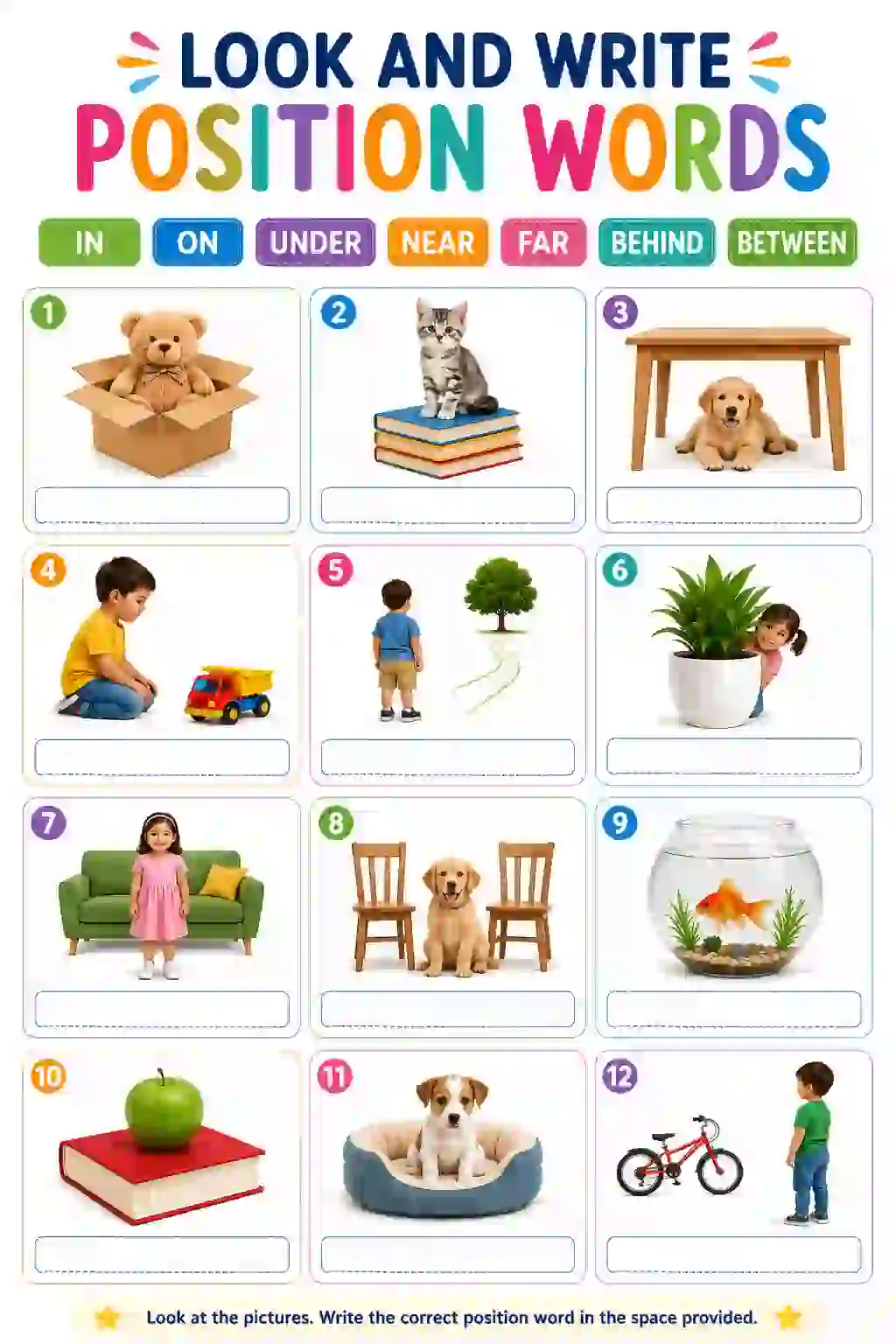 Look and Write Position Words Worksheet (LKG)