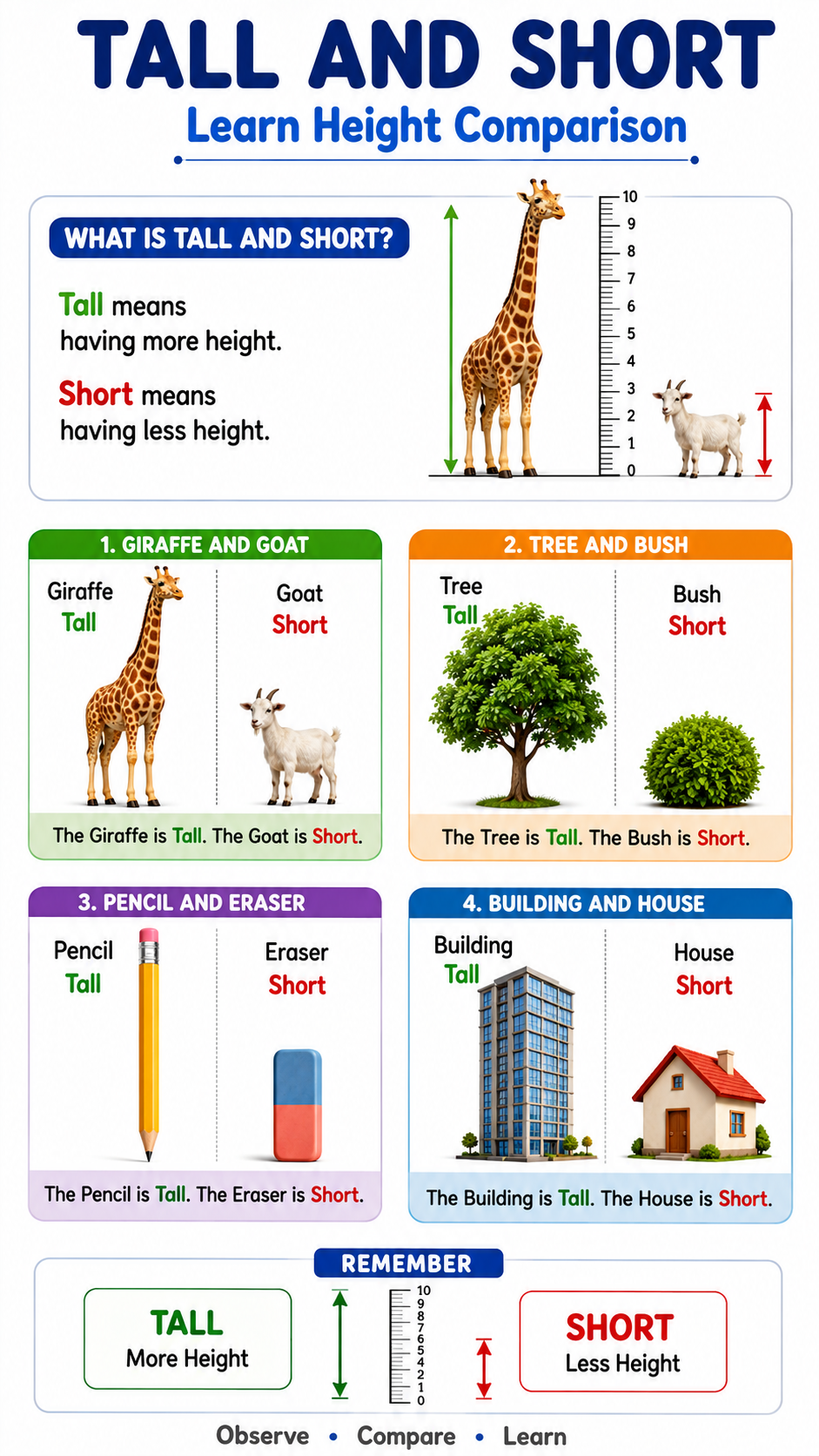 Tall and Short Chart